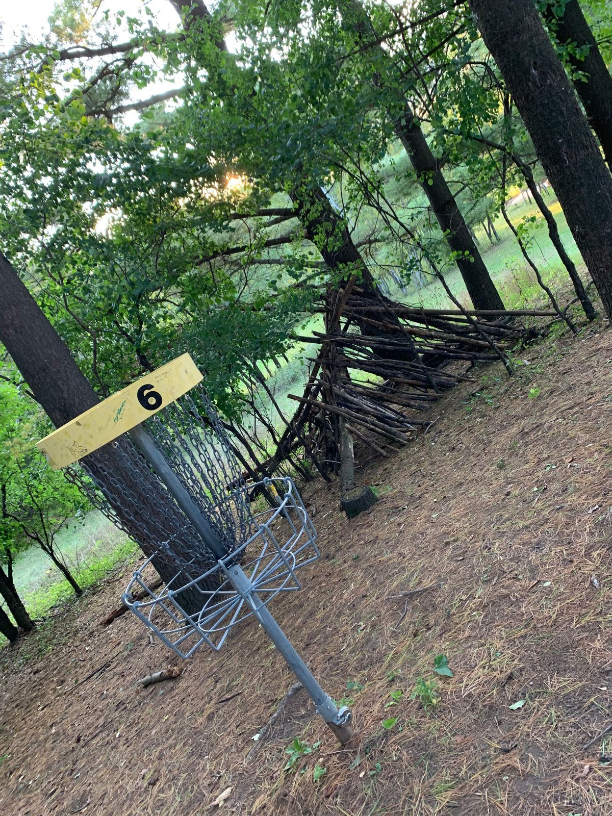 Elk Mound Disc Golf Your Guide To Disc Golf In Elk Mound Wisconsin